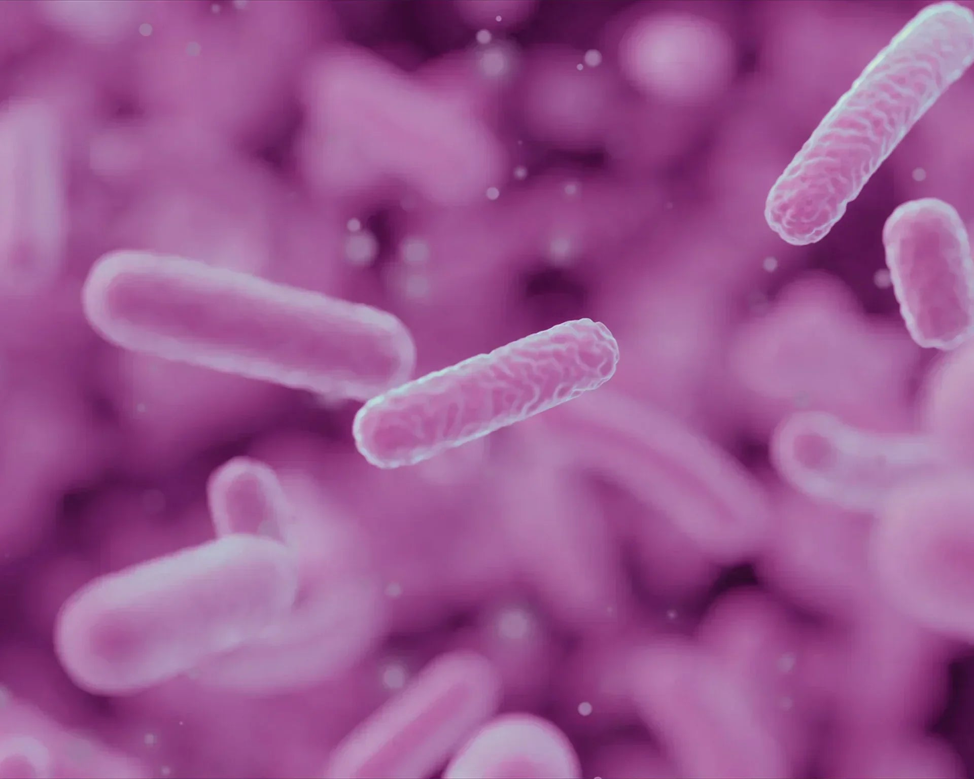 Microbiote vaginal : conseils pour maintenir son équilibre