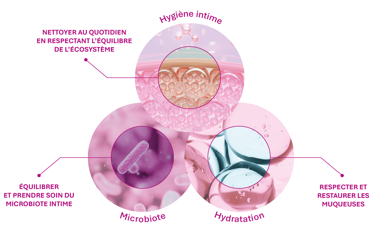 Schéma de l’écosystème intime avec hygiène, microbiote et hydratation pour préserver l’équilibre