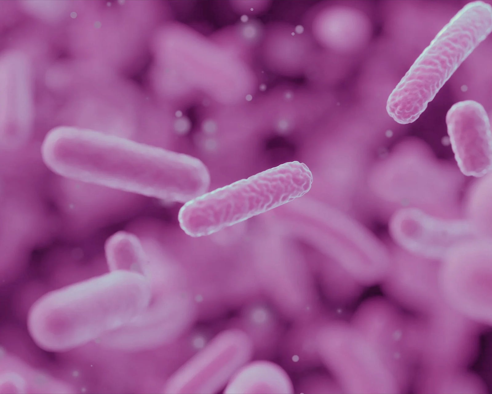 Zoom sur microbiote, équilibre flore intime santé femmes